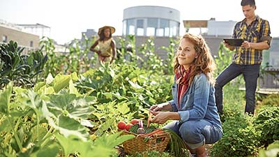 Quelles sont les aides financières à l’installation des jeunes agriculteurs ?