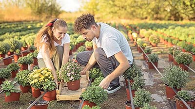 Emploi saisonnier : tout savoir sur les obligations de l’employeur et les assurances à souscrire