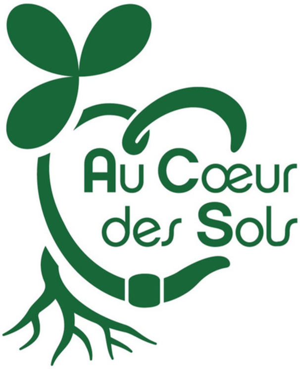 Au cœur des sols