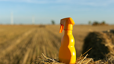Stratégie biodiversité