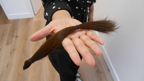 Association Fake Hair Don’t Care - Abeille Assurances
