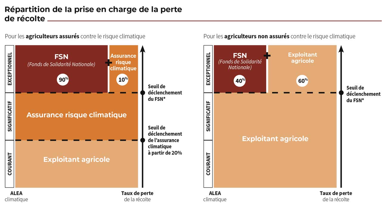 Répartition de la prise en charge de la perte de récolte - Abeille Assurances